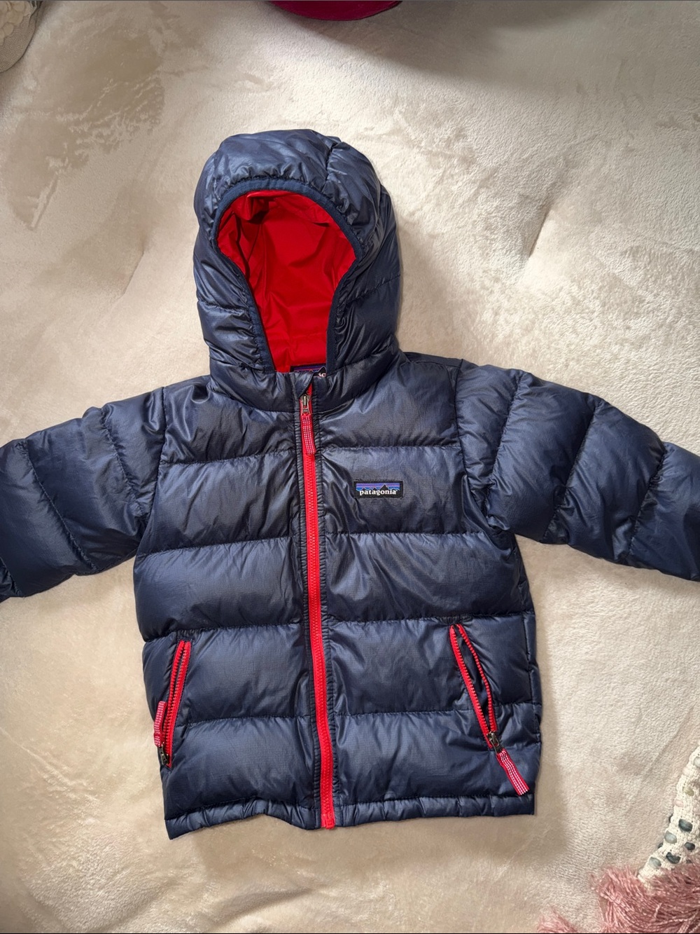 Patagonia Hi Loft Down Hooded Jacket 3T